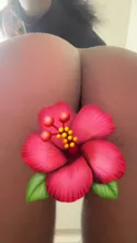 Reviews about escort with phone number 5309657087