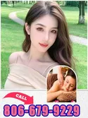 8066799229