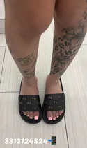 Reviews about escort with phone number 3313124524