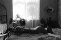 Reviews about escort with phone number 3412589713