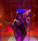 Reviews about escort with phone number 2134939566