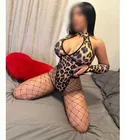 8623082481