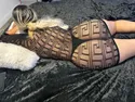 Reviews about escort with phone number 7869570674