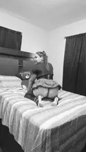 Reviews about escort with phone number 6197910116