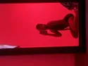 Reviews about escort with phone number 4709651105
