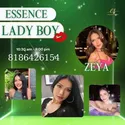 Reviews about escort with phone number 8186426154