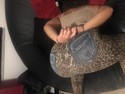 Reviews about escort with phone number 9542267949
