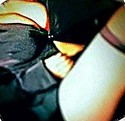 Reviews about escort with phone number 2092007000