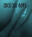 Reviews about escort with phone number 8135158093