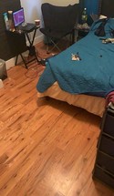2016142822