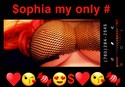 Reviews about escort with phone number 7602842545