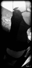 Reviews about escort with phone number 8594296935