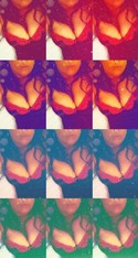 Reviews about escort with phone number 8103563844