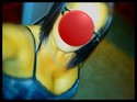 Reviews about escort with phone number 4704698819