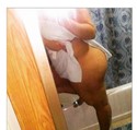 Reviews about escort with phone number 4847138789