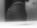 Reviews about escort with phone number 4433123118