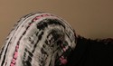Reviews about escort with phone number 8434160374
