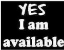 Reviews about escort with phone number 2064651084