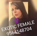 Reviews about escort with phone number 9564148704