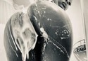 Reviews about escort with phone number 6464932614