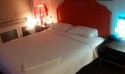 Reviews about escort with phone number 3477462646