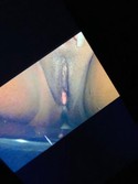 Reviews about escort with phone number 2679309384