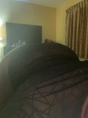 Reviews about escort with phone number 9297443967