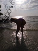 Reviews about escort with phone number 8568508527