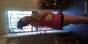 Reviews about escort with phone number 8595441722