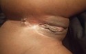 Reviews about escort with phone number 9293827254