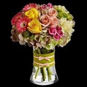 Reviews about escort with phone number 4804530458