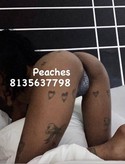 Reviews about escort with phone number 8135637798
