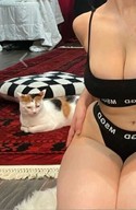Reviews about escort with phone number 3203180246