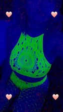 Reviews about escort with phone number 5024678289