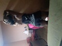Reviews about escort with phone number 6786478432