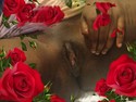 Reviews about escort with phone number 7188014215