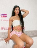 Reviews about escort with phone number 5168133192