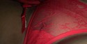 Reviews about escort with phone number 7163910084