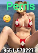 Reviews about escort with phone number 9095702271