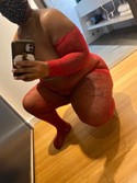 9293411955
