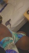 Reviews about escort with phone number 7272202635