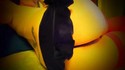 Reviews about escort with phone number 5024883677