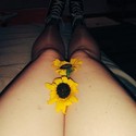 Reviews about escort with phone number 8176688567