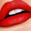 Reviews about escort with phone number 8136955334