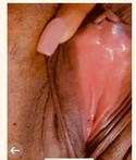 Reviews about escort with phone number 6827890169
