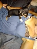 Reviews about escort with phone number 4802562657