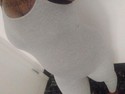Reviews about escort with phone number 4844423746