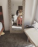 Reviews about escort with phone number 2567279040