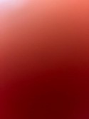 Reviews about escort with phone number 9084198220
