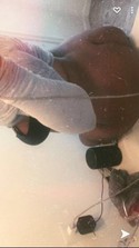 Reviews about escort with phone number 8563349924